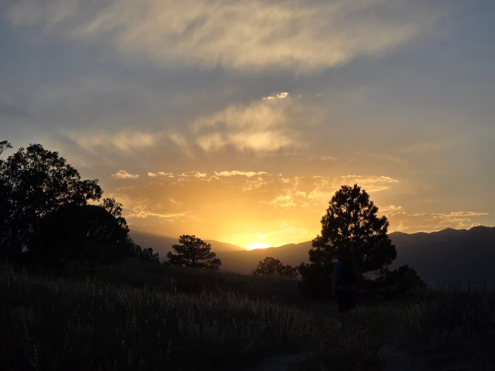 The sun setting behind pine trees and rolling hills