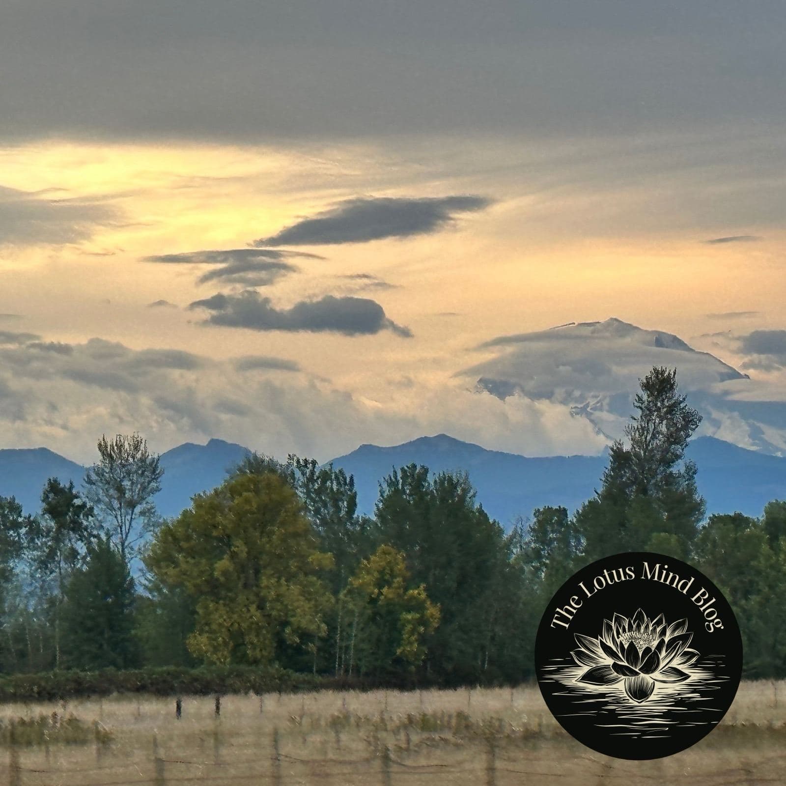 Trees and a meadow beneath clouds and distant mountains