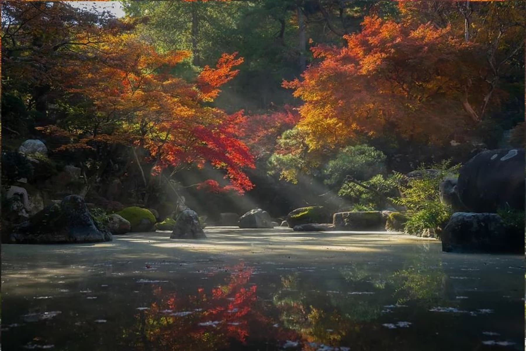 Autumn trees reflected in a still garden pond